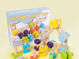 Montessori Wooden Bolts and Nuts Game- Early Educational Learning Resource