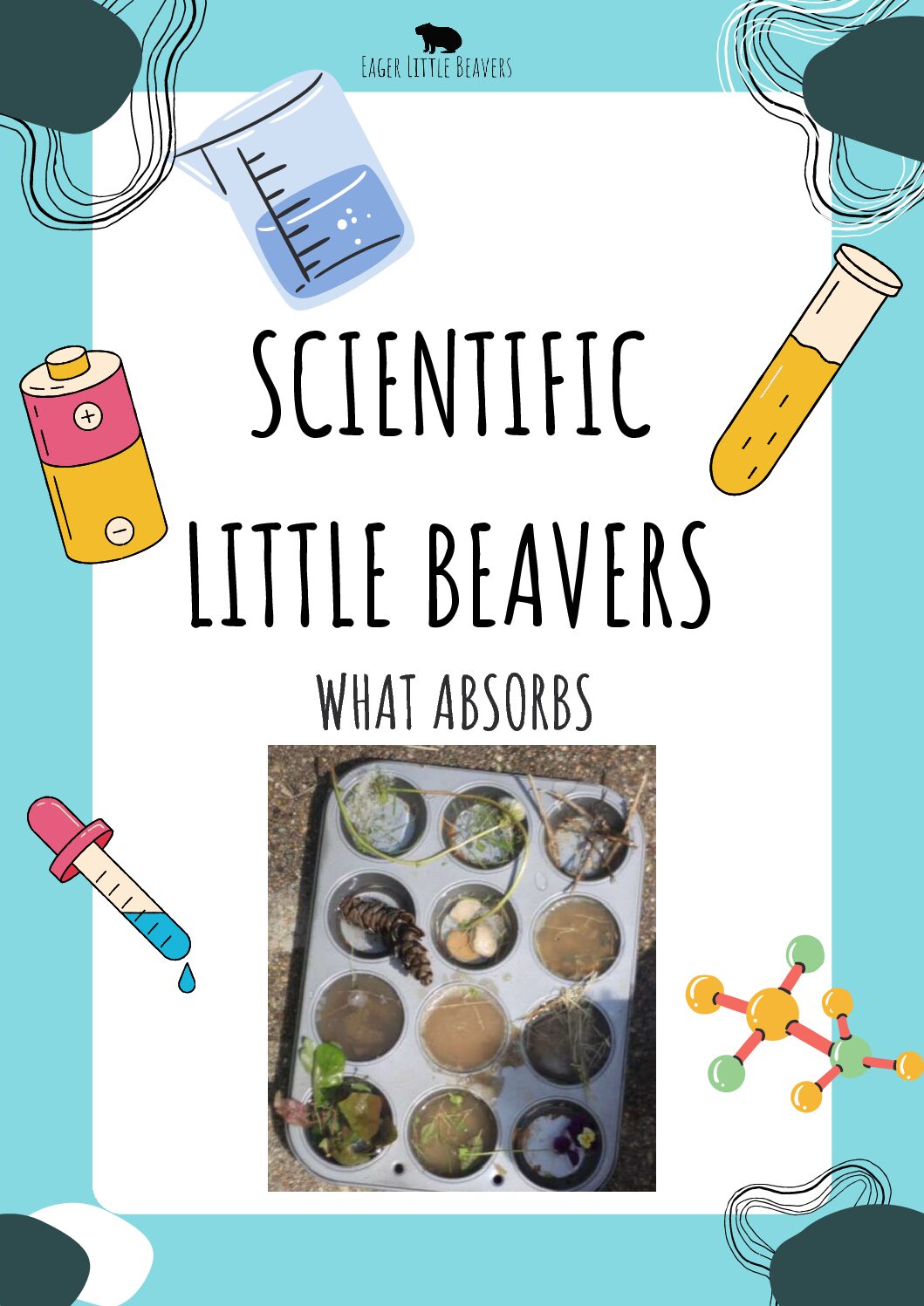 WHAT ASBORBS EXPERIMENT (FREE RESOURCE)